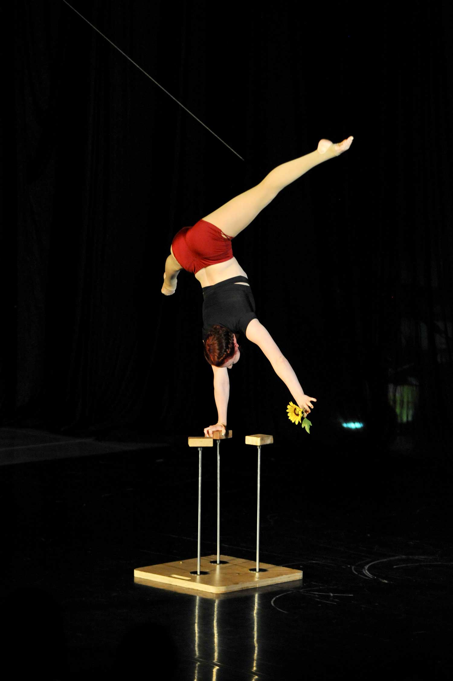 photo of rachel hipzer, flying trapeze and handbalancing coach